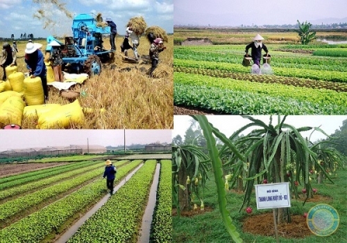 Ảnh minh họa: thoibaonganhang.vn.